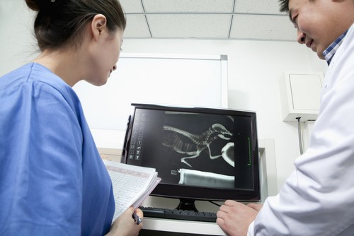 Advanced Digital X-rays Houston, TX