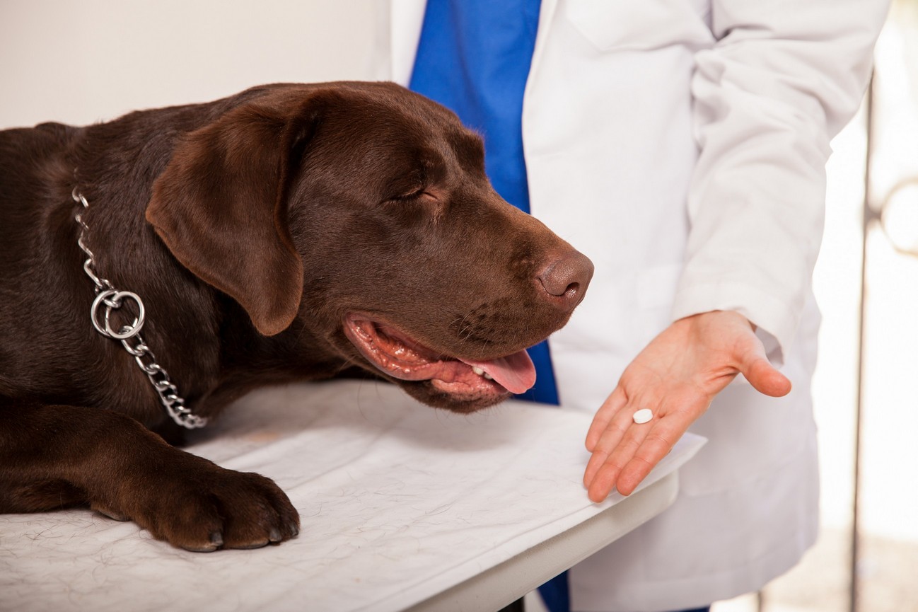 Preventative Care Houston, TX