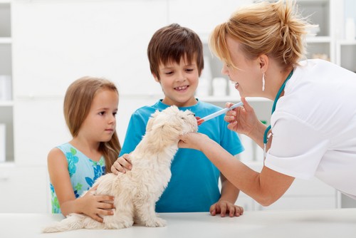 Vaccinations Houston, TX